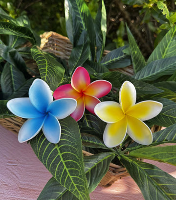 ARIEL Plumeria Loriana's