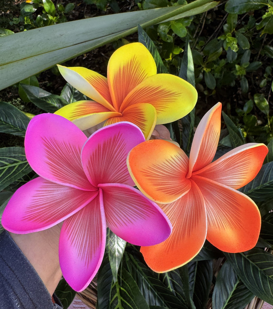 LITIA Plumeria Loriana's