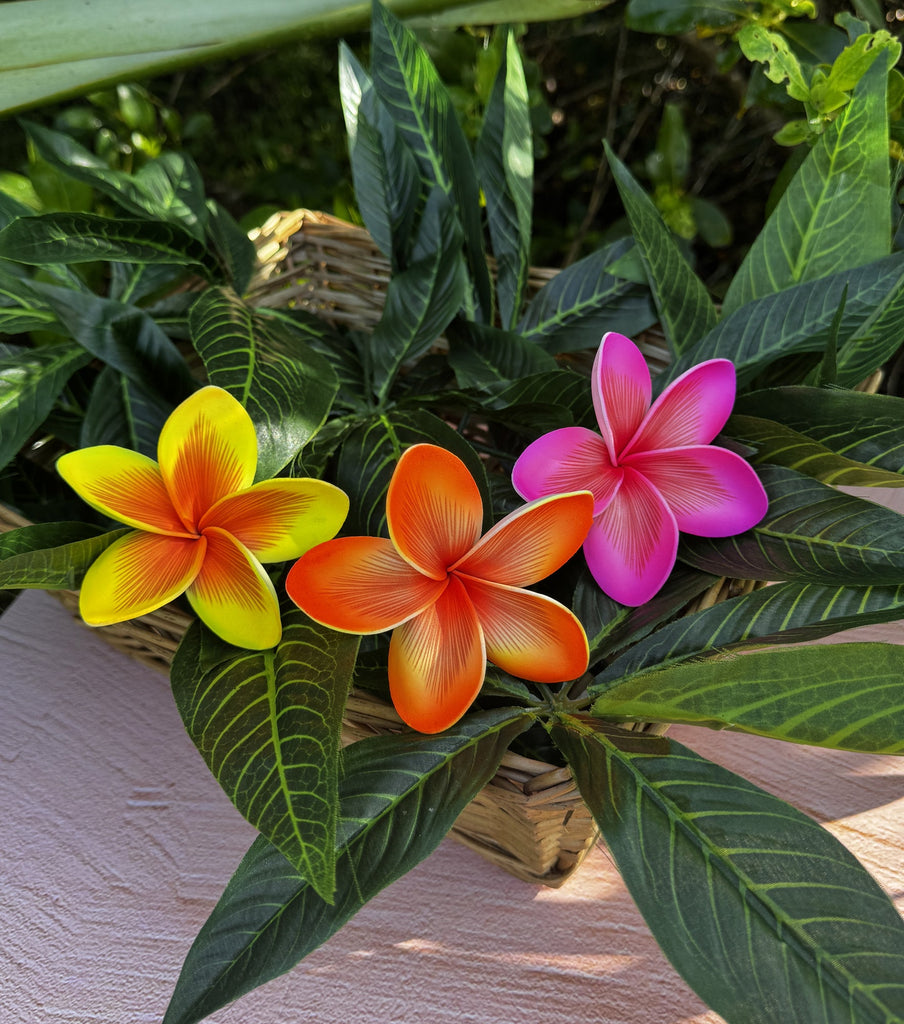 LITIA Plumeria Loriana's
