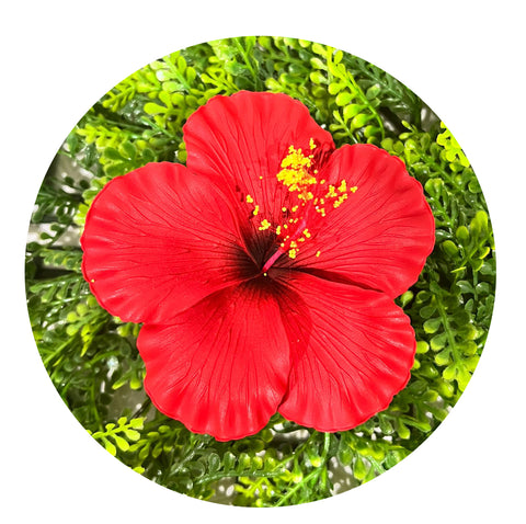 OFUSINA Hibiscus