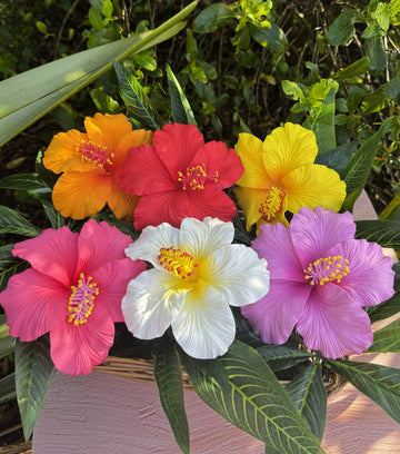 LARISA Large Hibiscus Loriana's