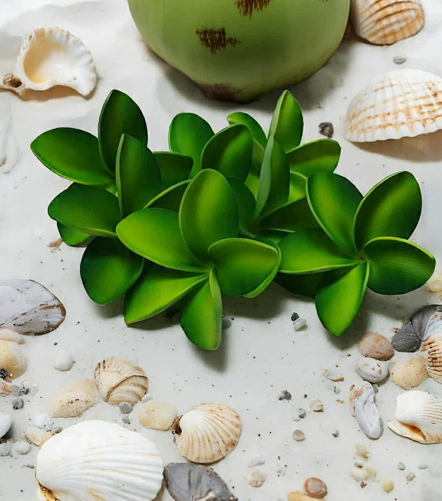 MILAN Small Plumeria Loriana's NZ